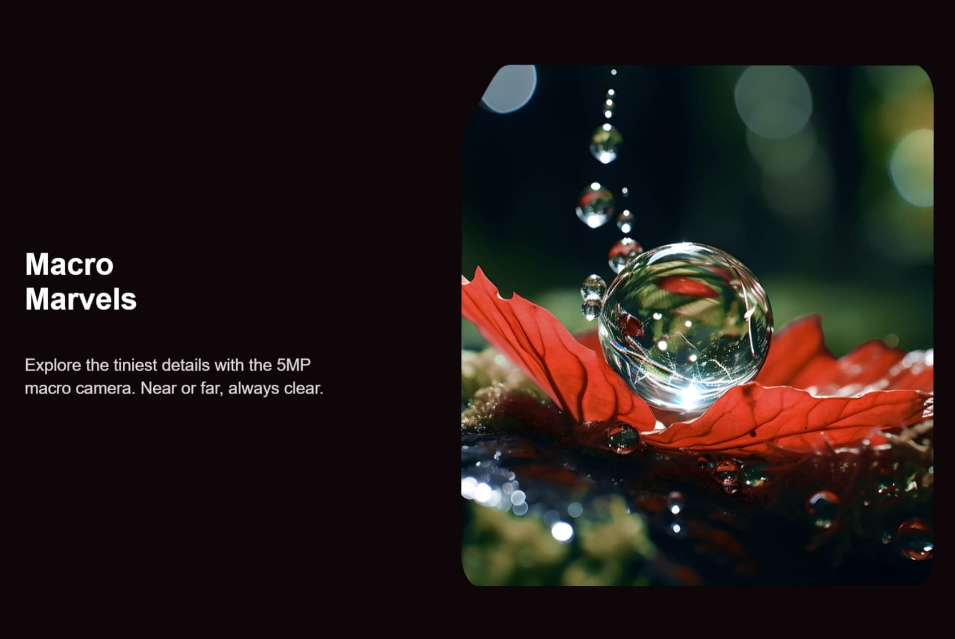 Imagen Responsive 15